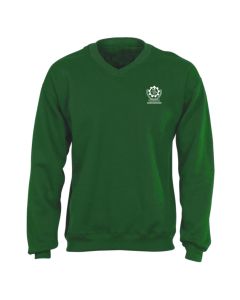 NIT Rourkela V-NECK PULLOVER